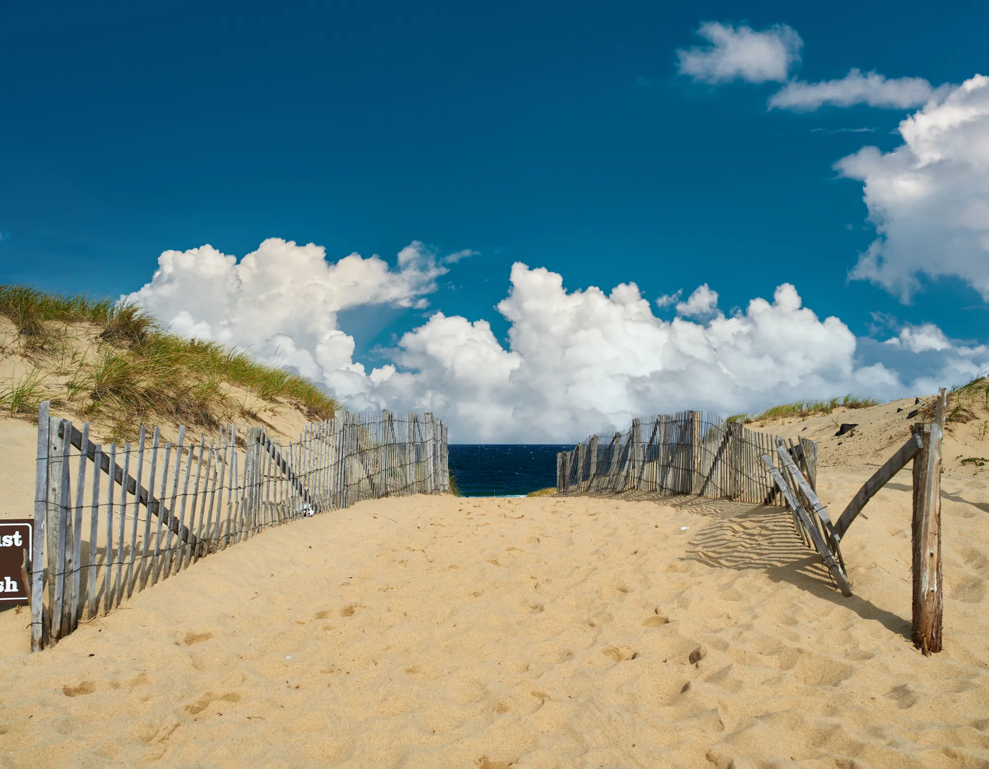 A sand path running between weathered fences through the dunes toward the ocean