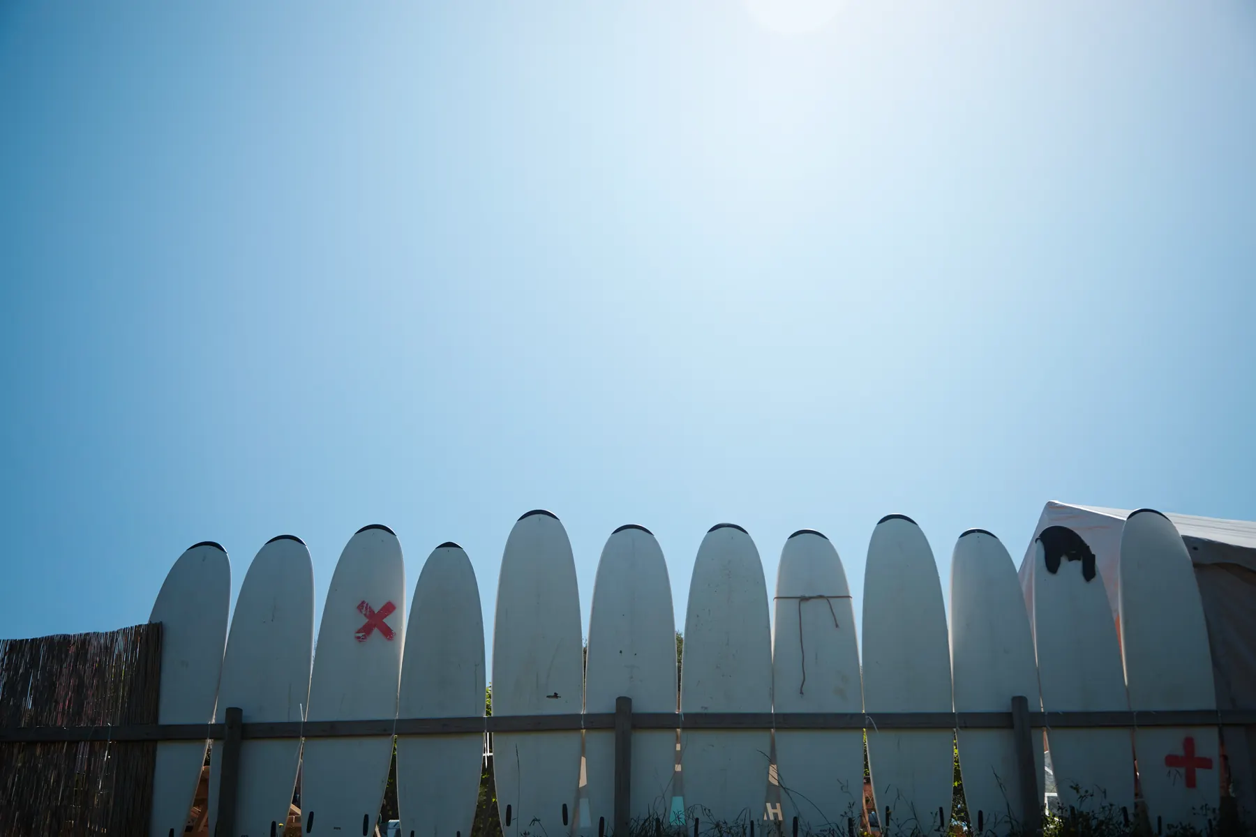 A row of surfboards lined up against a fence under an open sky