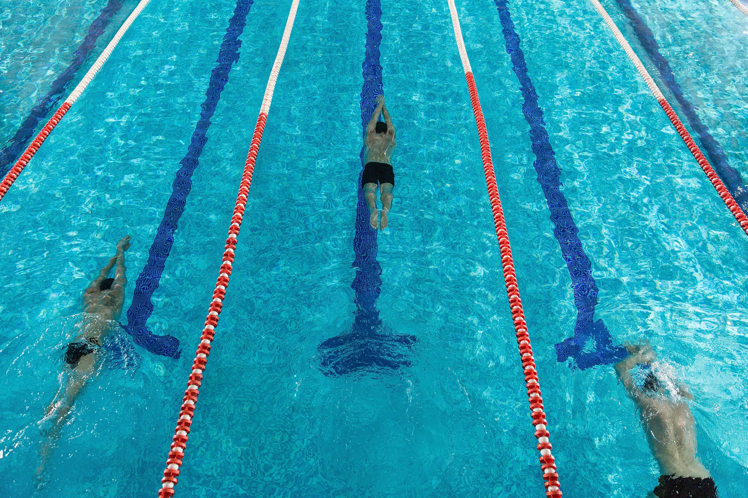 Three swimmers training in separate lanes, seen from above